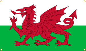 Wales Red Dragon flag